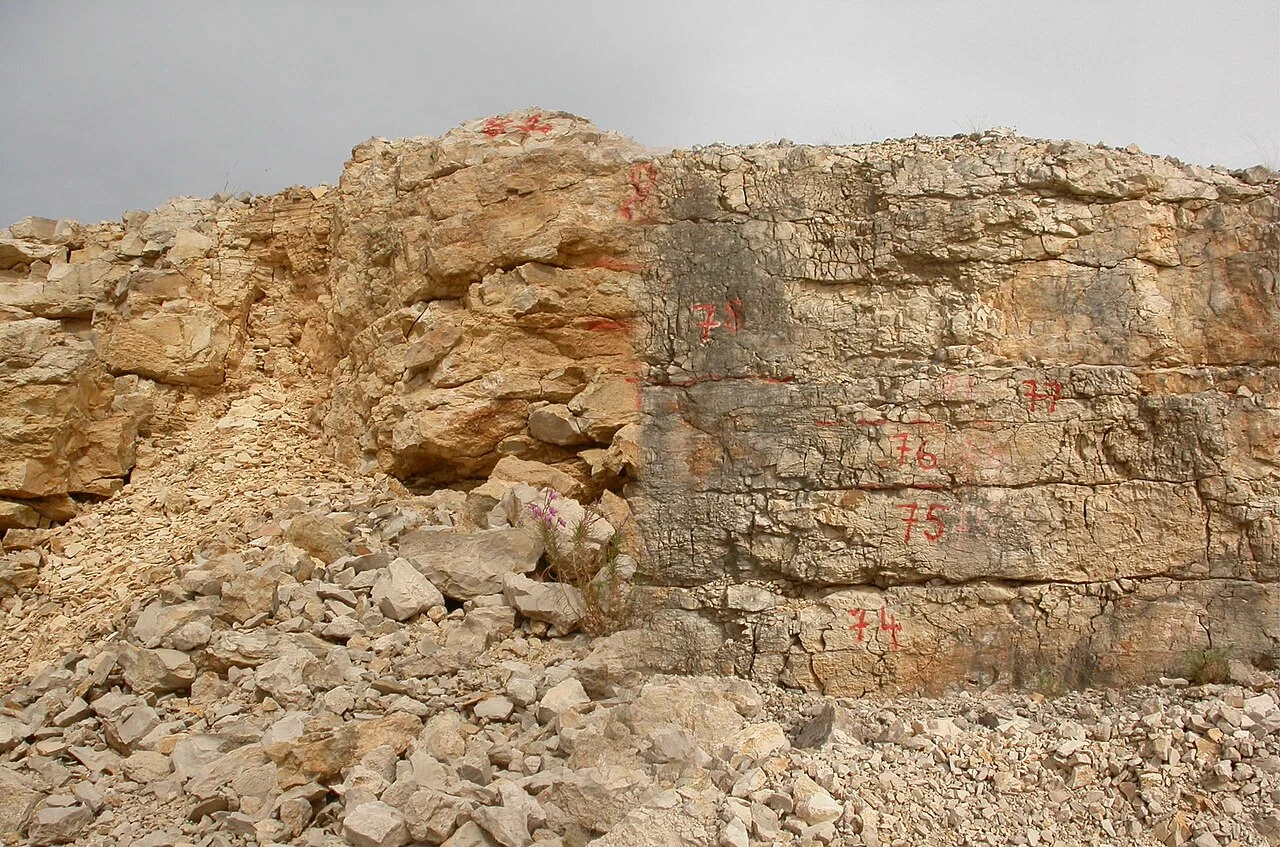 Lagerstätte de Canjuers : Un Site Fossilifère Exceptionnel du Jurassique en Provence