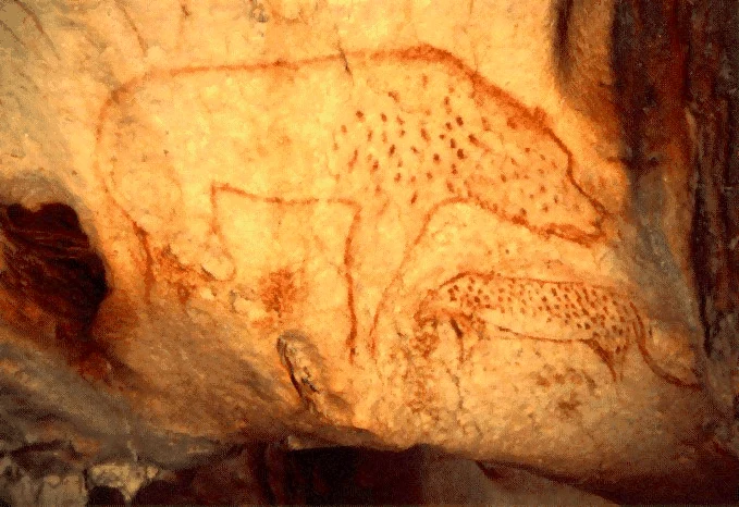 Grotte Chauvet-Pont d’Arc — média 5