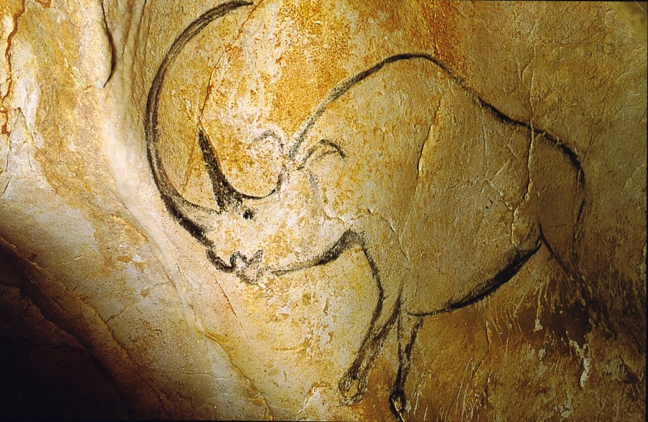 Grotte Chauvet-Pont d’Arc — média 6