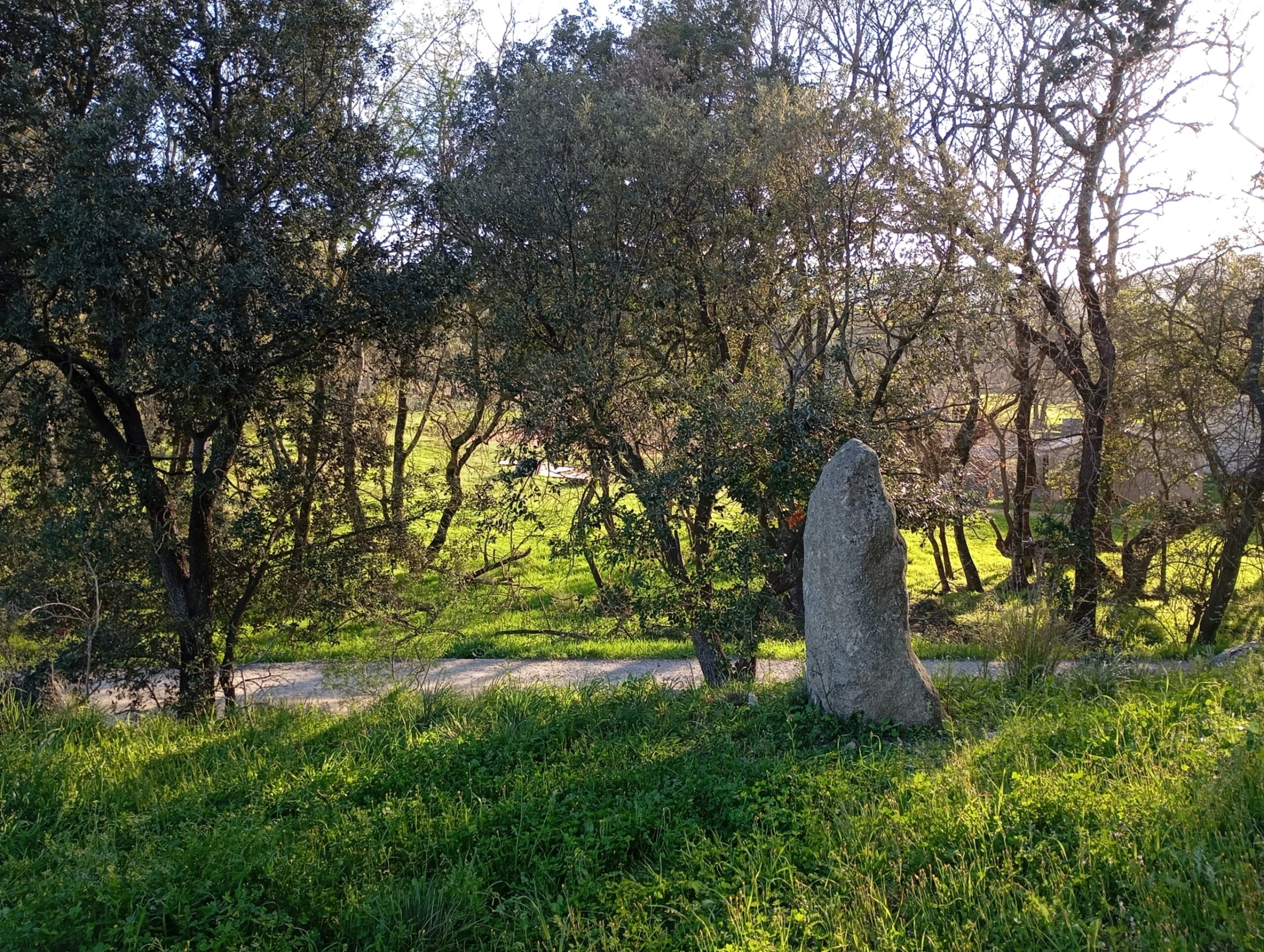 Menhir du Pra-Bourdin 2 — photo 2