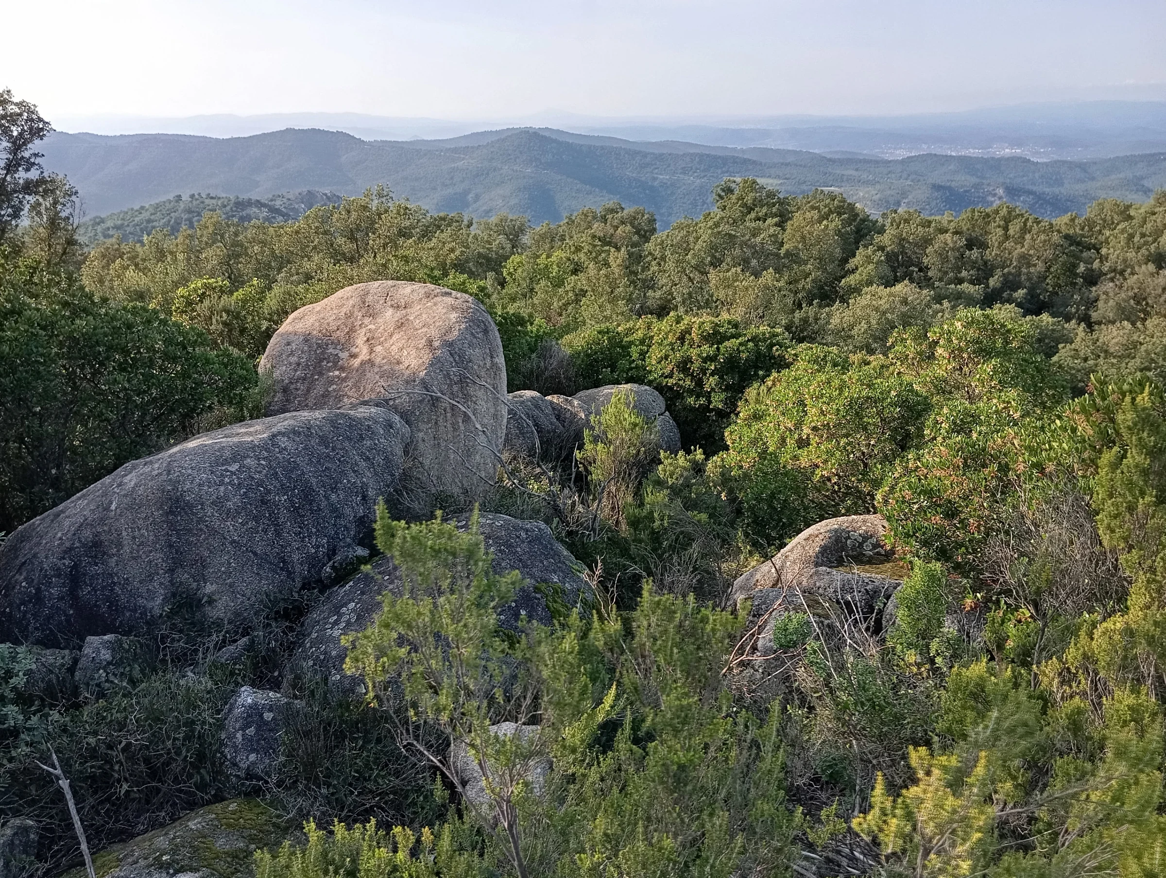 Vue du site Mégalithes remarquables au "Grand Courant"