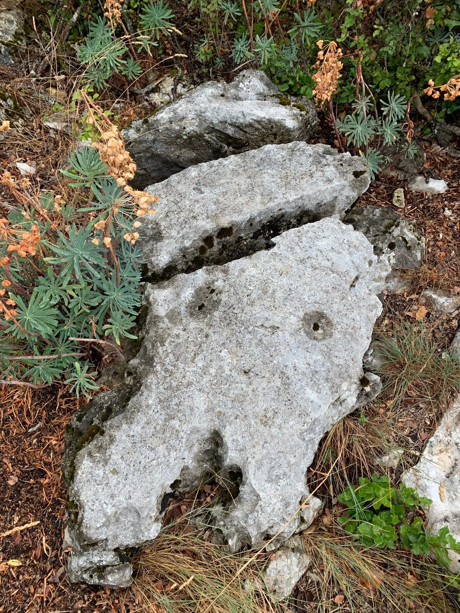 Dolmen des Riens à Mons — photo 2