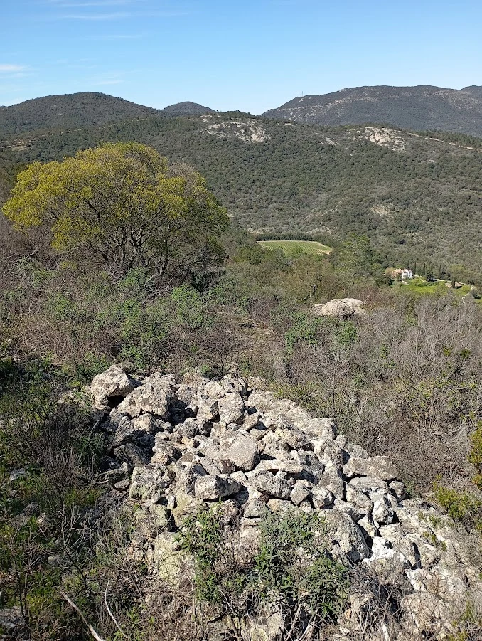 Vue du site Site néolithique de hauteur des Moulières
